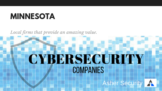 minnesota-cybersecurity-companies-cybersecurity-consulting-asher